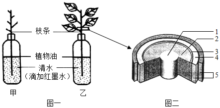 菁優(yōu)網(wǎng)