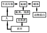 菁優(yōu)網(wǎng)