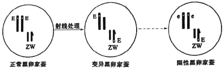 菁優(yōu)網