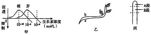 菁優(yōu)網