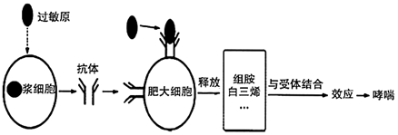 菁優(yōu)網