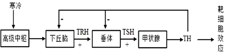 菁優(yōu)網