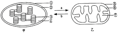 菁優(yōu)網(wǎng)