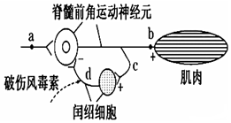 菁優(yōu)網