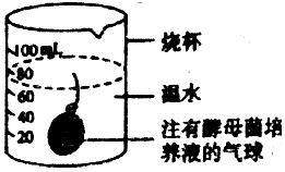 菁優(yōu)網