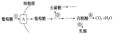 菁優(yōu)網