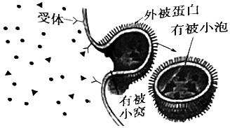 菁優(yōu)網(wǎng)