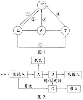 菁優(yōu)網(wǎng)