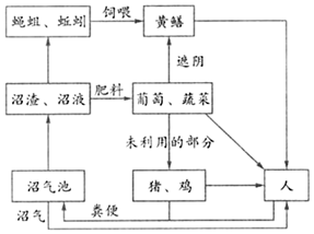 菁優(yōu)網(wǎng)