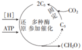 菁優(yōu)網(wǎng)