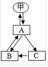 菁優(yōu)網(wǎng)