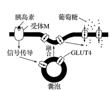 菁優(yōu)網