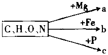 菁優(yōu)網(wǎng)