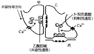 菁優(yōu)網(wǎng)