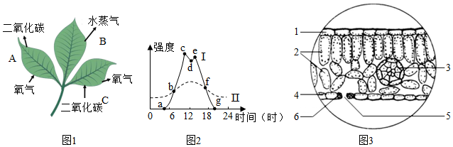 菁優(yōu)網(wǎng)