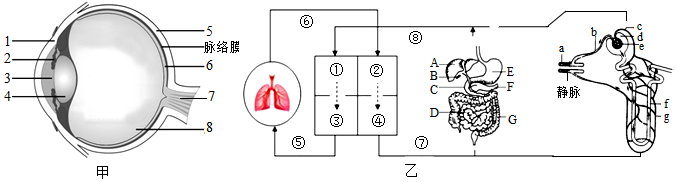 菁優(yōu)網(wǎng)