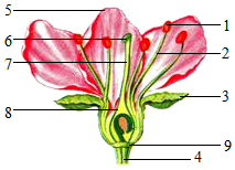 菁優(yōu)網(wǎng)