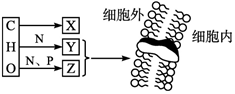 菁優(yōu)網(wǎng)