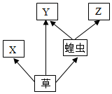 菁優(yōu)網(wǎng)