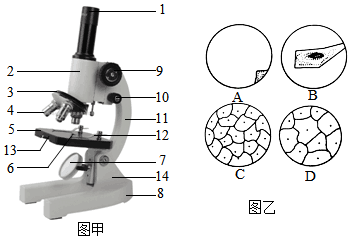 菁優(yōu)網(wǎng)