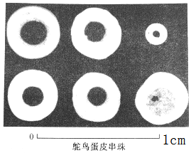 菁優(yōu)網