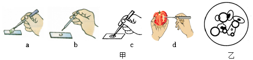 菁優(yōu)網(wǎng)