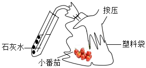 菁優(yōu)網