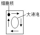 菁優(yōu)網