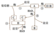 菁優(yōu)網(wǎng)