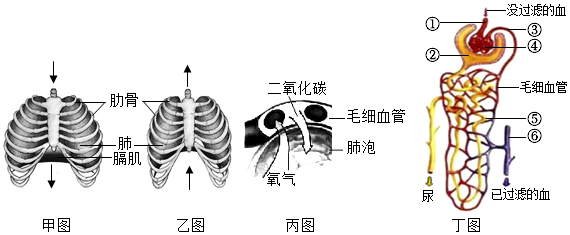 菁優(yōu)網(wǎng)