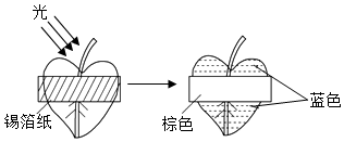 菁優(yōu)網