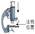 菁優(yōu)網