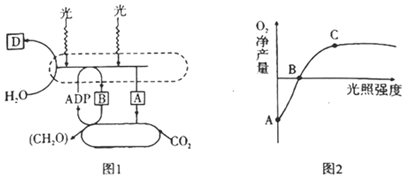 菁優(yōu)網(wǎng)