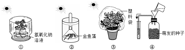 菁優(yōu)網