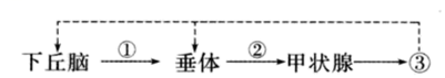 菁優(yōu)網