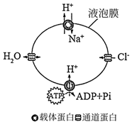 菁優(yōu)網(wǎng)