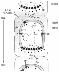 菁優(yōu)網(wǎng)