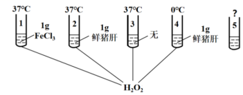 菁優(yōu)網