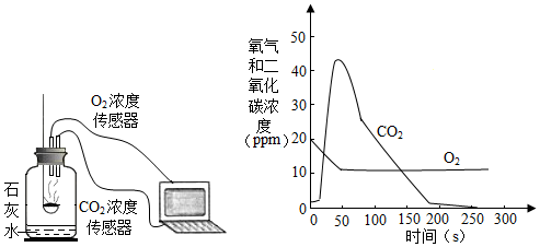 菁優(yōu)網