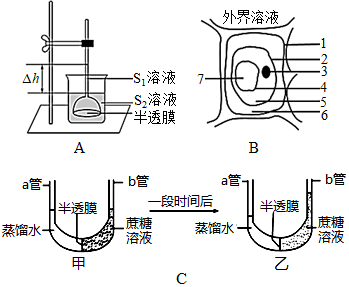 菁優(yōu)網(wǎng)