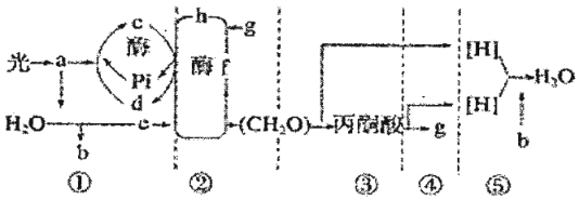 菁優(yōu)網