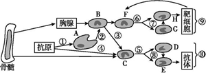 菁優(yōu)網(wǎng)