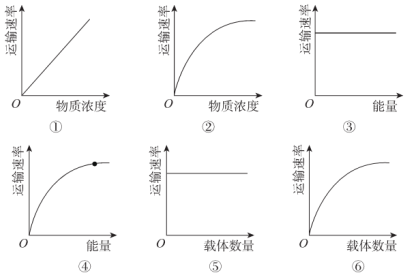 菁優(yōu)網