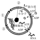 菁優(yōu)網