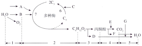 菁優(yōu)網(wǎng)