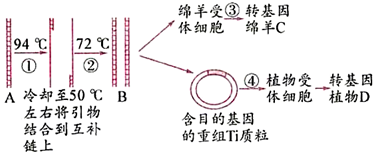 菁優(yōu)網(wǎng)