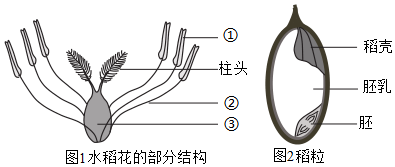 菁優(yōu)網