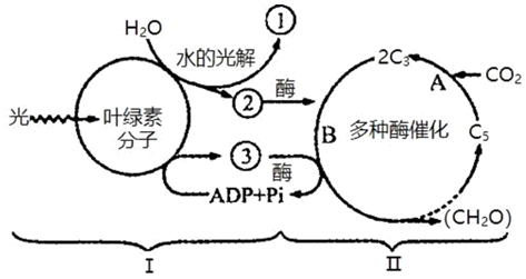 菁優(yōu)網(wǎng)