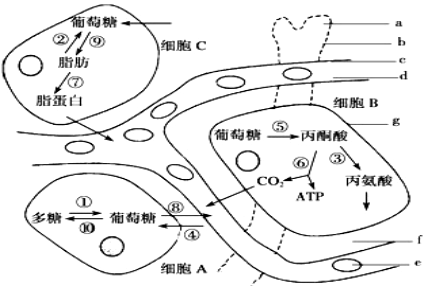 菁優(yōu)網(wǎng)