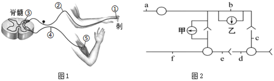 菁優(yōu)網(wǎng)